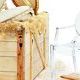 Kartell Louis Ghost