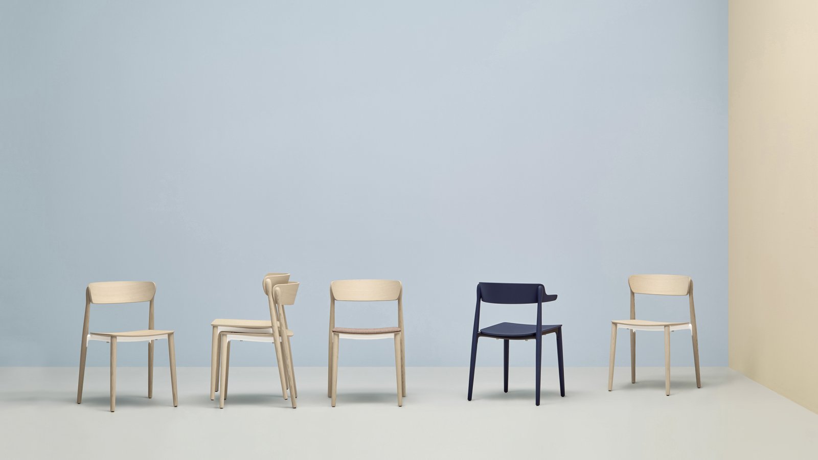 Designerstuhl Nemea von Pedrali in Esche