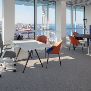 Gruppenarbeit mit rollenden Cila Go