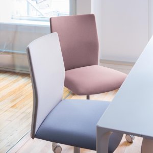Komplett bezogene Schale der Kinesit