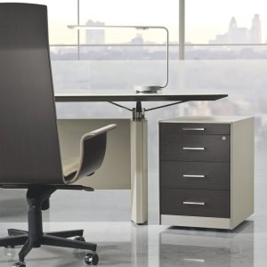 Chefzimmer mit Schreibtisch und Sideboard