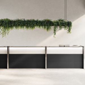 Thekenbord aus ESG-Glas der Empfangstheke Nice auf gedrehten Edelstahlstützen