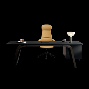 Chefzimmer mit Metar Boiserie und hohen Schraenken