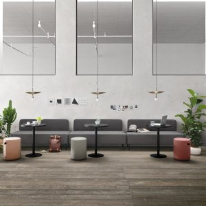 Personal Storage Rollwagen unter dem Pigreco Tisch