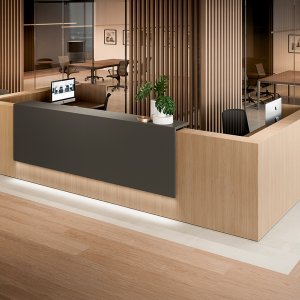 Empfangstresen Z2 von Quadrifoglio in einer Bürolobby mit LED-Lichtlinie